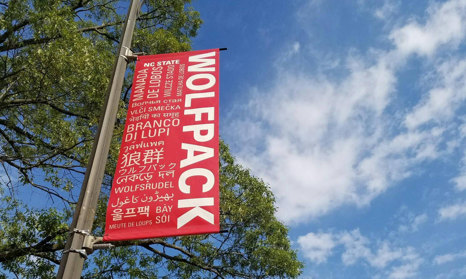 Wolfpack banner in different languages